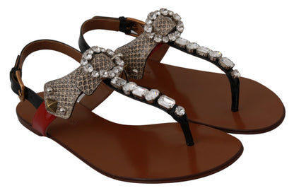 Dolce & Gabbana Elegant Strappy Sandals with Exotic Charm Dolce & Gabbana