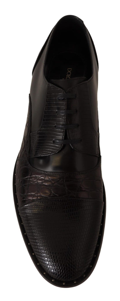 Dolce & Gabbana Elegant Black Derby Oxford Wingtips Dolce & Gabbana