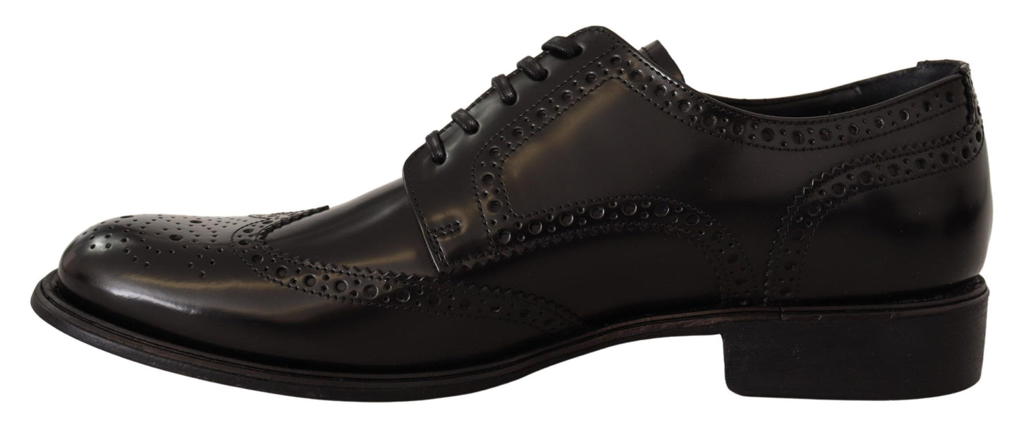 Dolce & Gabbana Elegant Wingtip Derby Oxford Shoes Dolce & Gabbana