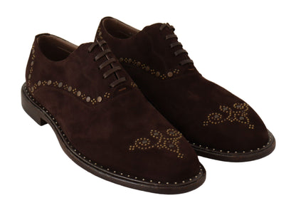 Dolce & Gabbana Elegant Brown Suede Studded Derby Shoes Dolce & Gabbana