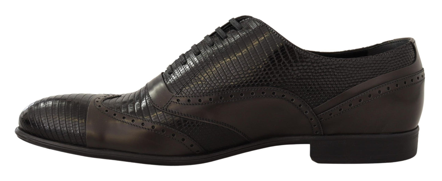 Dolce & Gabbana Elegant Brown Lizard Leather Oxford Shoes Dolce & Gabbana