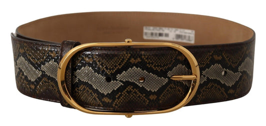 Dolce & Gabbana Elegant Gold Oval Buckle Leather Belt Dolce & Gabbana