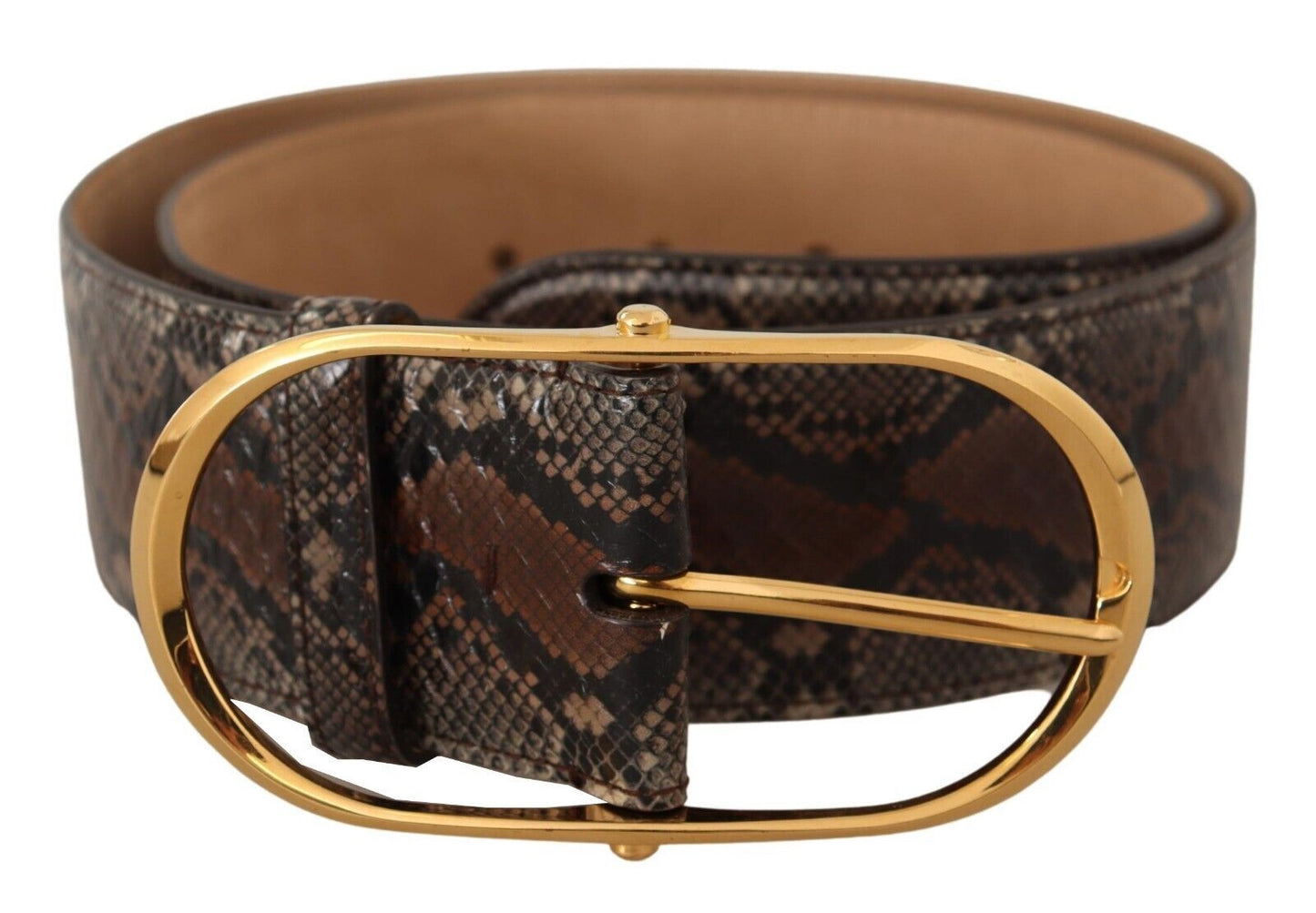 Dolce & Gabbana Elegant Brown Leather Belt with Gold Buckle Dolce & Gabbana