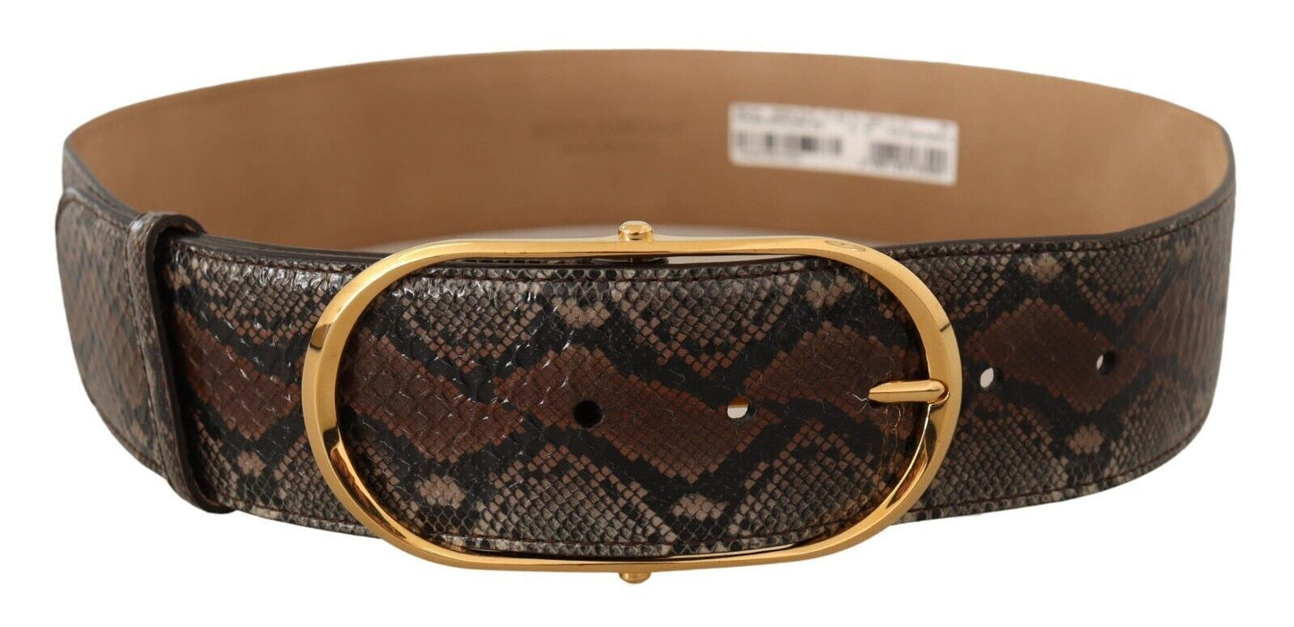 Dolce & Gabbana Elegant Brown Leather Belt with Gold Buckle Dolce & Gabbana