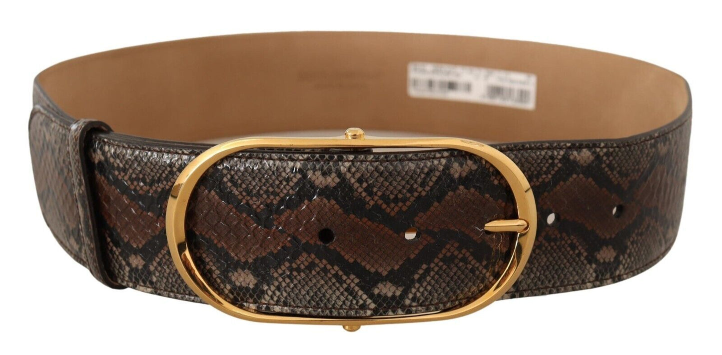 Dolce & Gabbana Elegant Brown Leather Belt with Gold Buckle Dolce & Gabbana