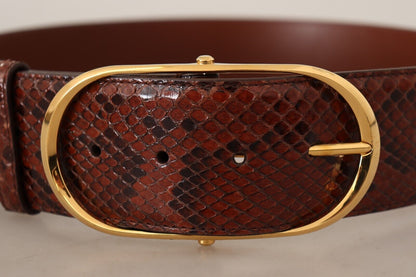 Dolce & Gabbana Elegant Python Snake Skin Leather Belt Dolce & Gabbana