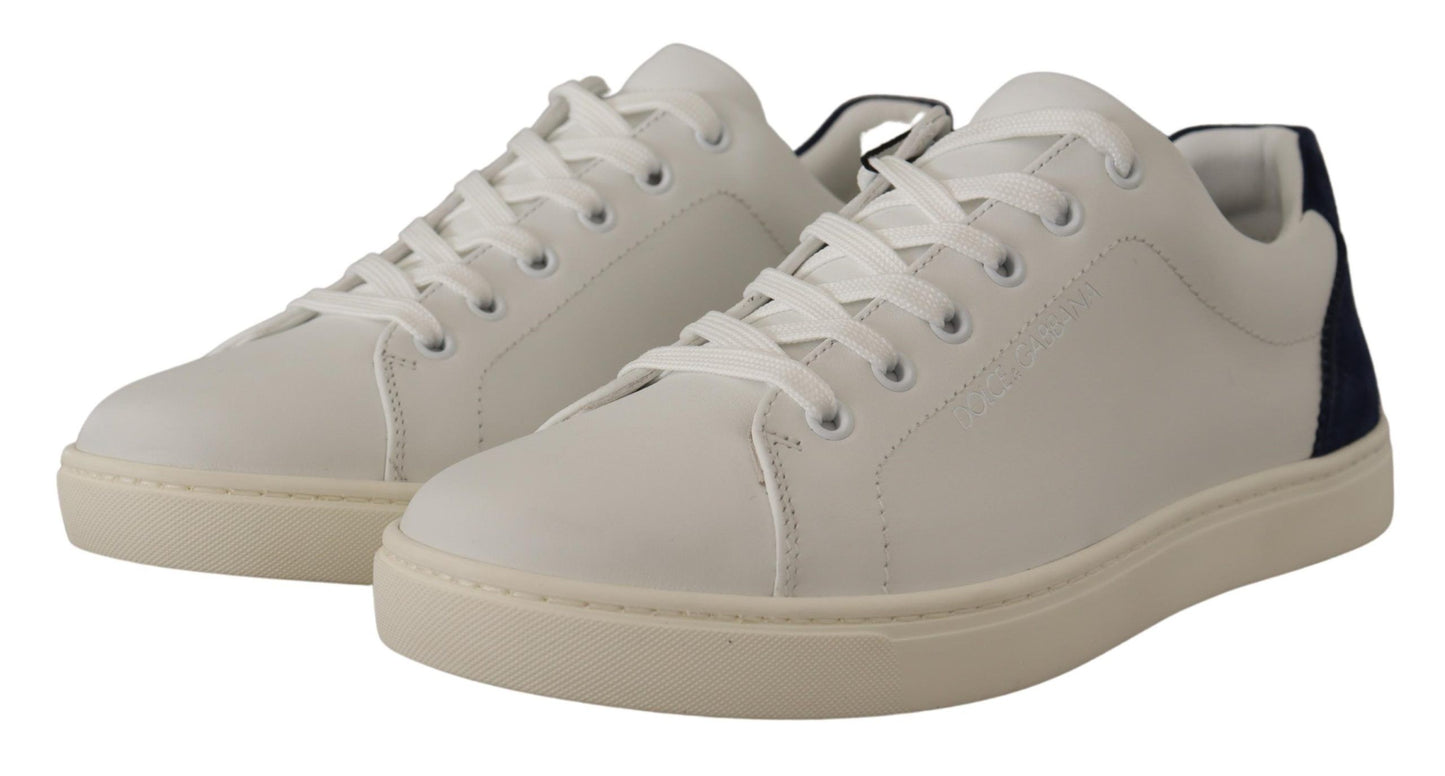 Dolce & Gabbana Elegant White and Blue Low-Top Leather Sneakers Dolce & Gabbana