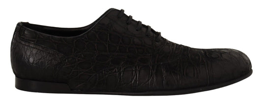 Dolce & Gabbana Elegant Exotic Leather Oxford Shoes Dolce & Gabbana