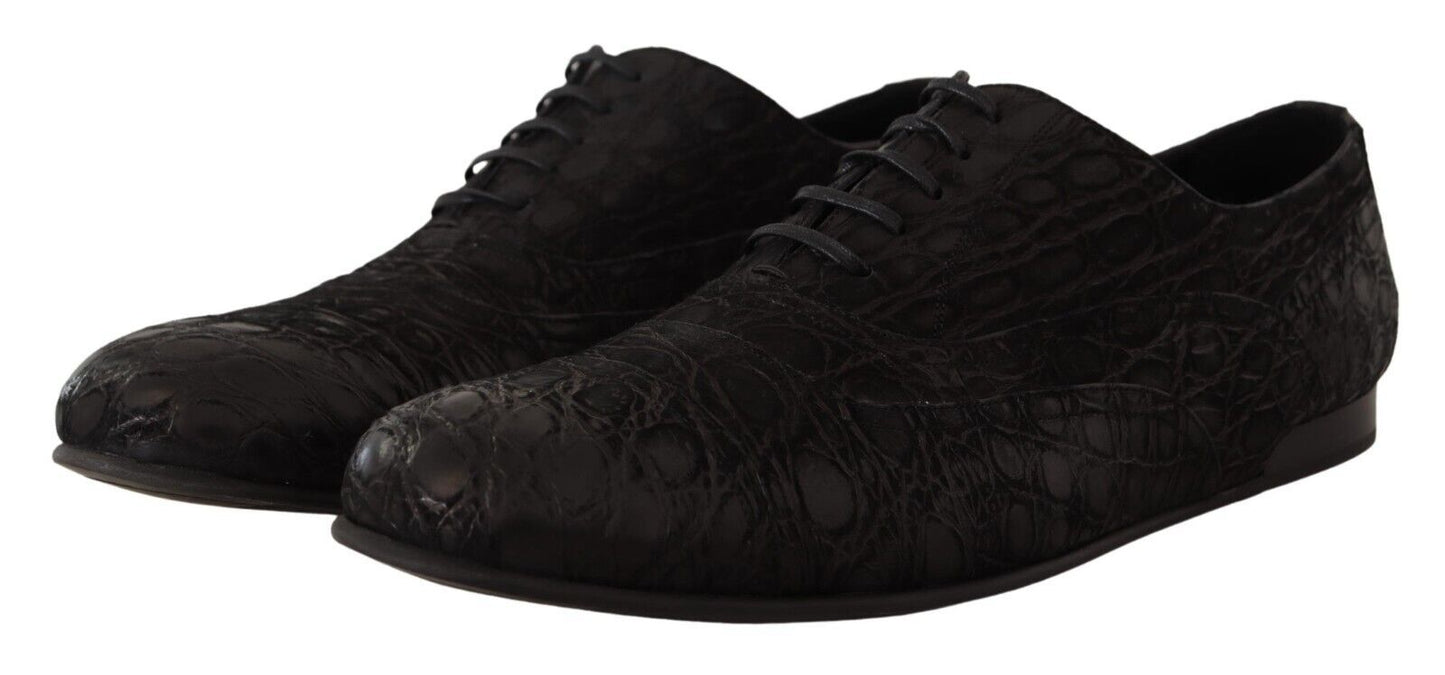 Dolce & Gabbana Elegant Exotic Leather Oxford Shoes Dolce & Gabbana