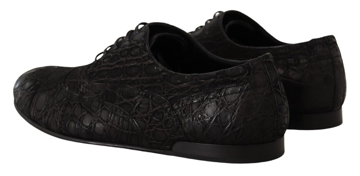 Dolce & Gabbana Elegant Exotic Leather Oxford Shoes Dolce & Gabbana