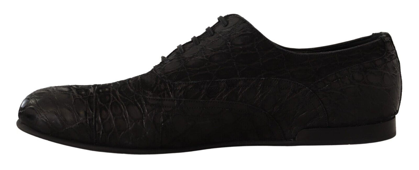 Dolce & Gabbana Elegant Exotic Leather Oxford Shoes Dolce & Gabbana