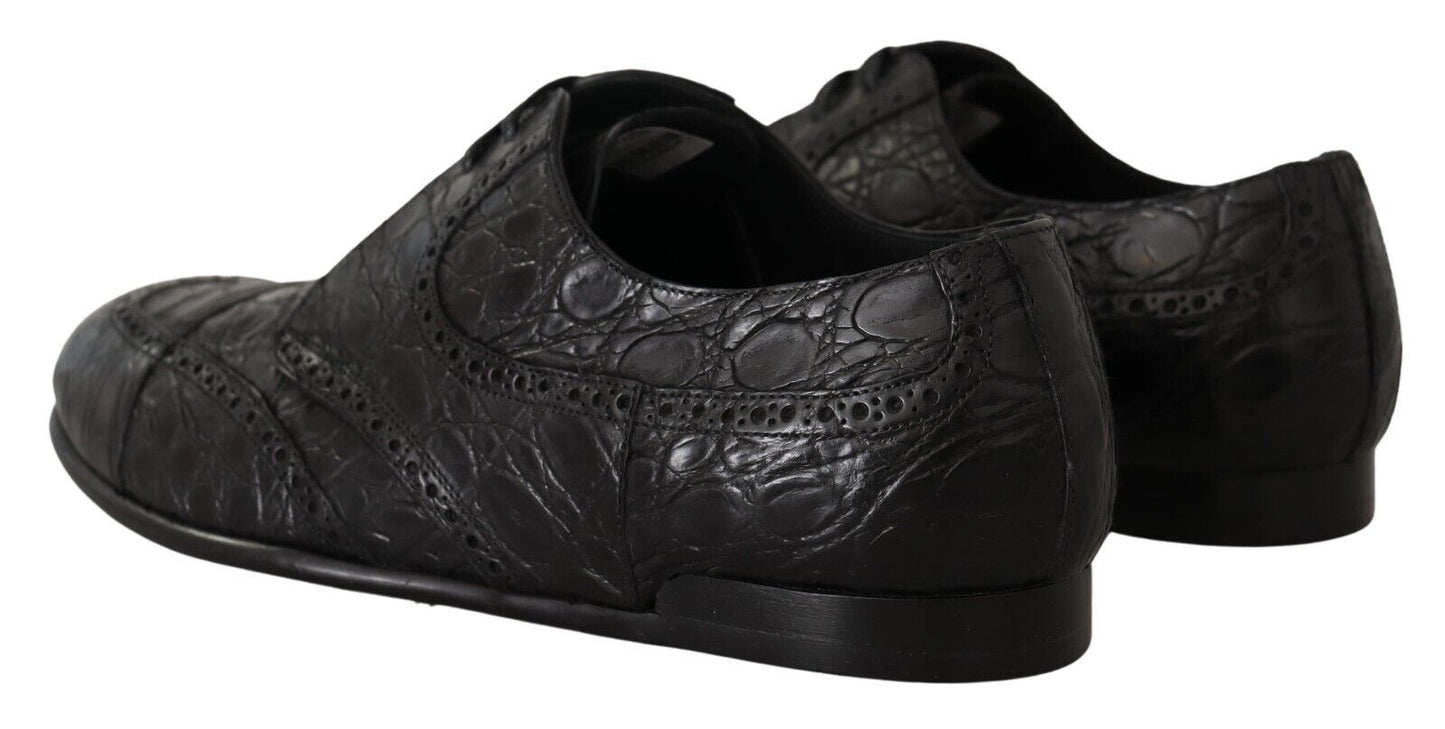 Dolce & Gabbana Exquisite Exotic Leather Derby Shoes Dolce & Gabbana