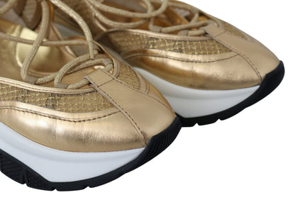 Jimmy Choo Golden Glamour Mesh Leather Sneakers Jimmy Choo