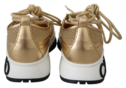 Jimmy Choo Golden Glamour Mesh Leather Sneakers Jimmy Choo