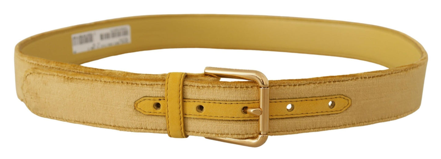 Dolce & Gabbana Elegant Velvet Designer Gold-Buckled Belt Dolce & Gabbana