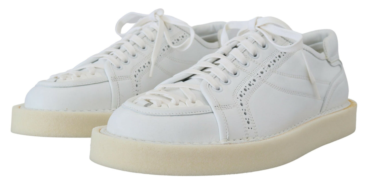 Dolce & Gabbana Elegant White Low Top Oxford Sneakers Dolce & Gabbana