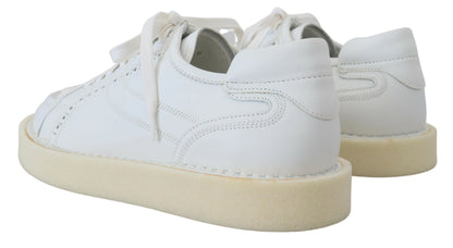 Dolce & Gabbana Elegant White Low Top Oxford Sneakers Dolce & Gabbana