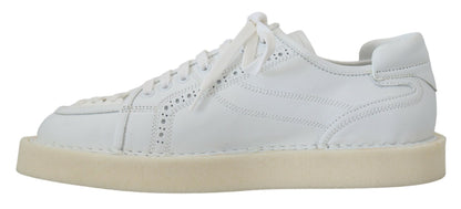 Dolce & Gabbana Elegant White Low Top Oxford Sneakers Dolce & Gabbana