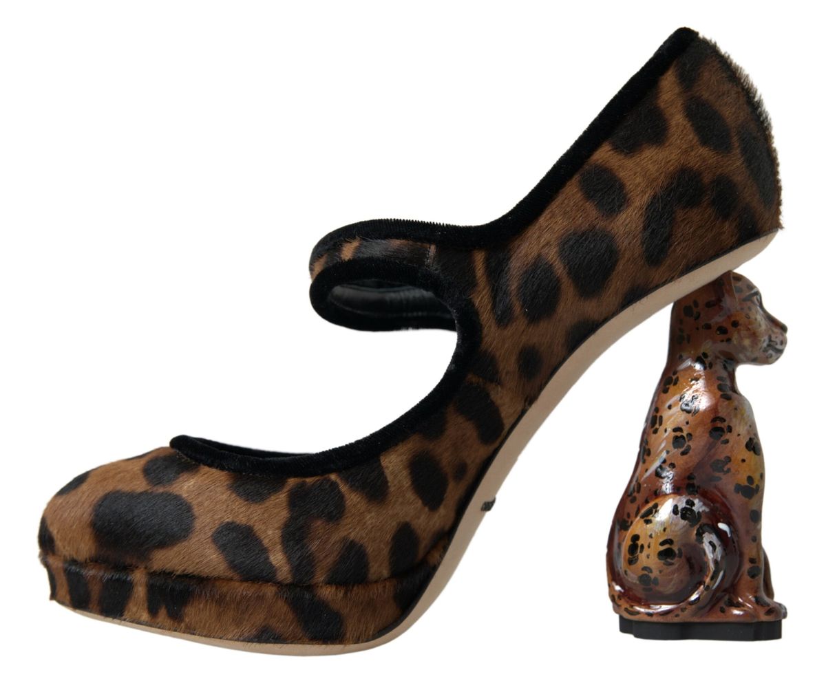 Dolce & Gabbana Elegant Leopard Heel Pumps for Chic Sophistication Dolce & Gabbana