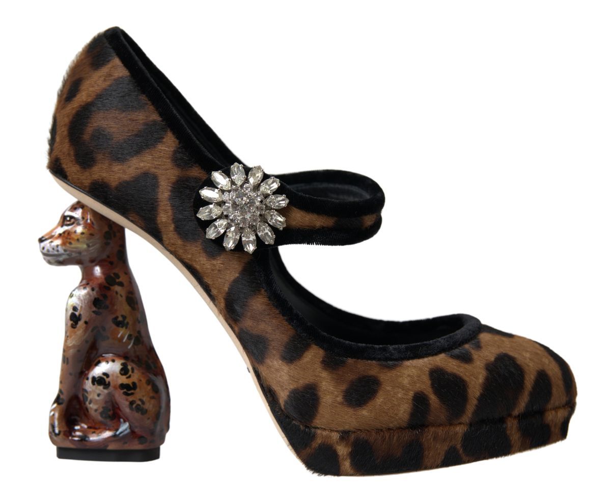 Dolce & Gabbana Elegant Leopard Heel Pumps for Chic Sophistication Dolce & Gabbana