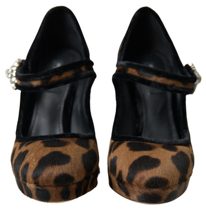 Dolce & Gabbana Elegant Leopard Heel Pumps for Chic Sophistication Dolce & Gabbana