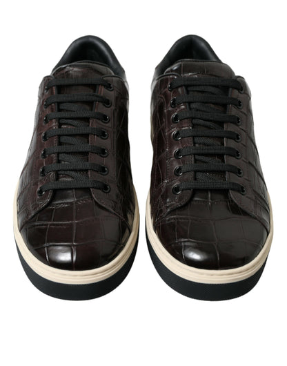 Dolce & Gabbana Elegant Exotic Leather Low-Top Sneakers Dolce & Gabbana