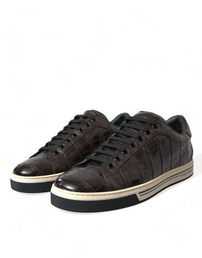 Dolce & Gabbana Elegant Exotic Leather Low-Top Sneakers Dolce & Gabbana