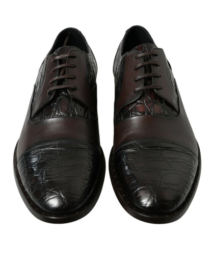 Dolce & Gabbana Elegant Brown Formal Derby Dress Shoes Dolce & Gabbana