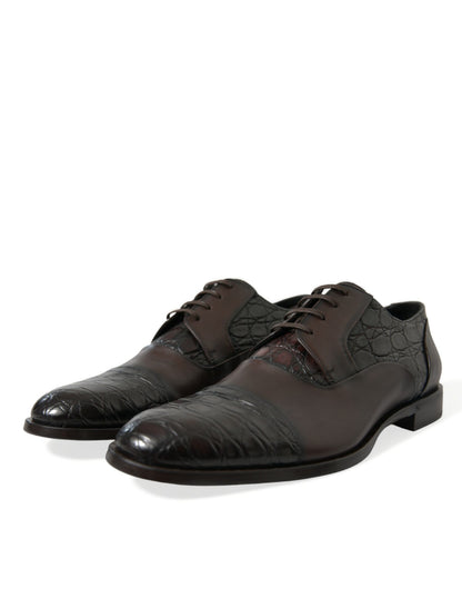 Dolce & Gabbana Elegant Brown Formal Derby Dress Shoes Dolce & Gabbana