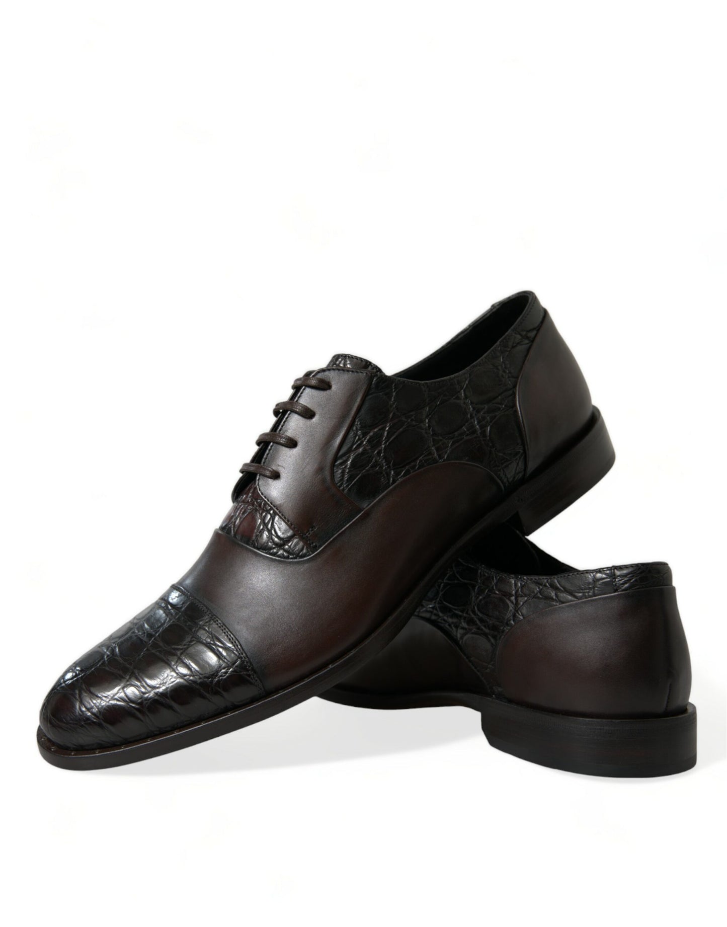 Dolce & Gabbana Elegant Brown Formal Derby Dress Shoes Dolce & Gabbana