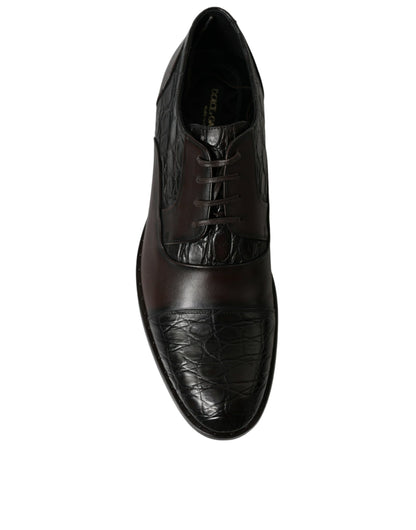 Dolce & Gabbana Elegant Brown Formal Derby Dress Shoes Dolce & Gabbana