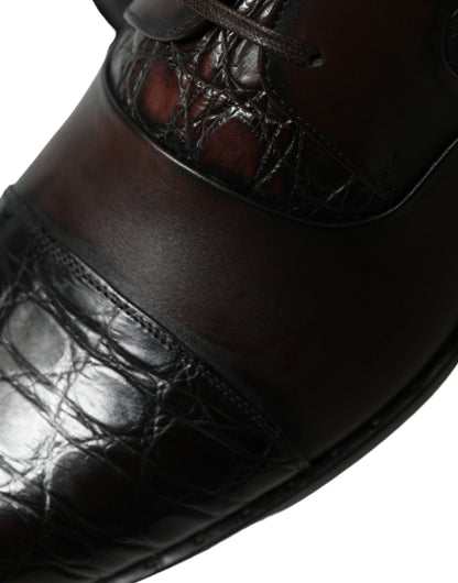 Dolce & Gabbana Elegant Brown Formal Derby Dress Shoes Dolce & Gabbana