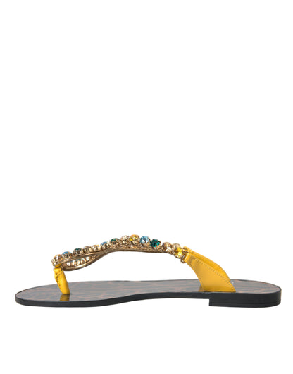 Dolce & Gabbana Mustard Crystal Calf Leather Beachwear Shoes Dolce & Gabbana