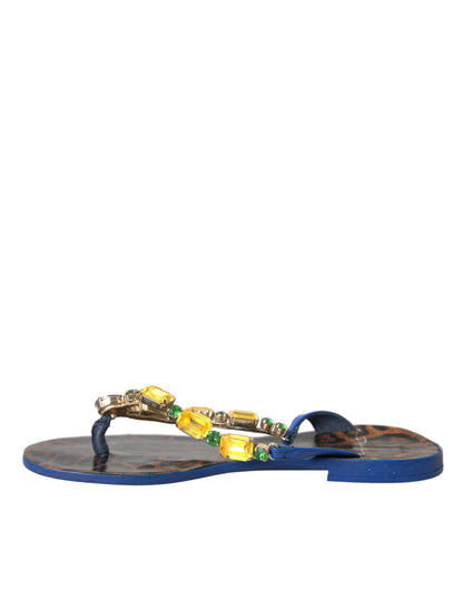 Dolce & Gabbana Blue Crystal Calf Leather Beachwear Shoes Dolce & Gabbana