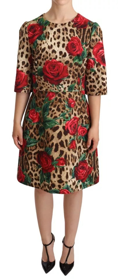 Dolce & Gabbana Brown Leopard Red Roses Cotton A-line Dress Dolce & Gabbana