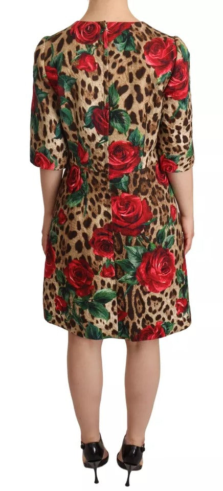 Dolce & Gabbana Brown Leopard Red Roses Cotton A-line Dress Dolce & Gabbana