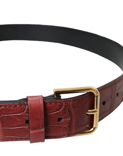 Dolce & Gabbana Brown Alligator Leather Studded Metal Buckle Belt Dolce & Gabbana