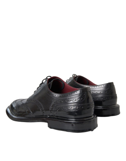 Dolce & Gabbana Black Leather Oxford Wingtip Formal Men Shoes Dolce & Gabbana