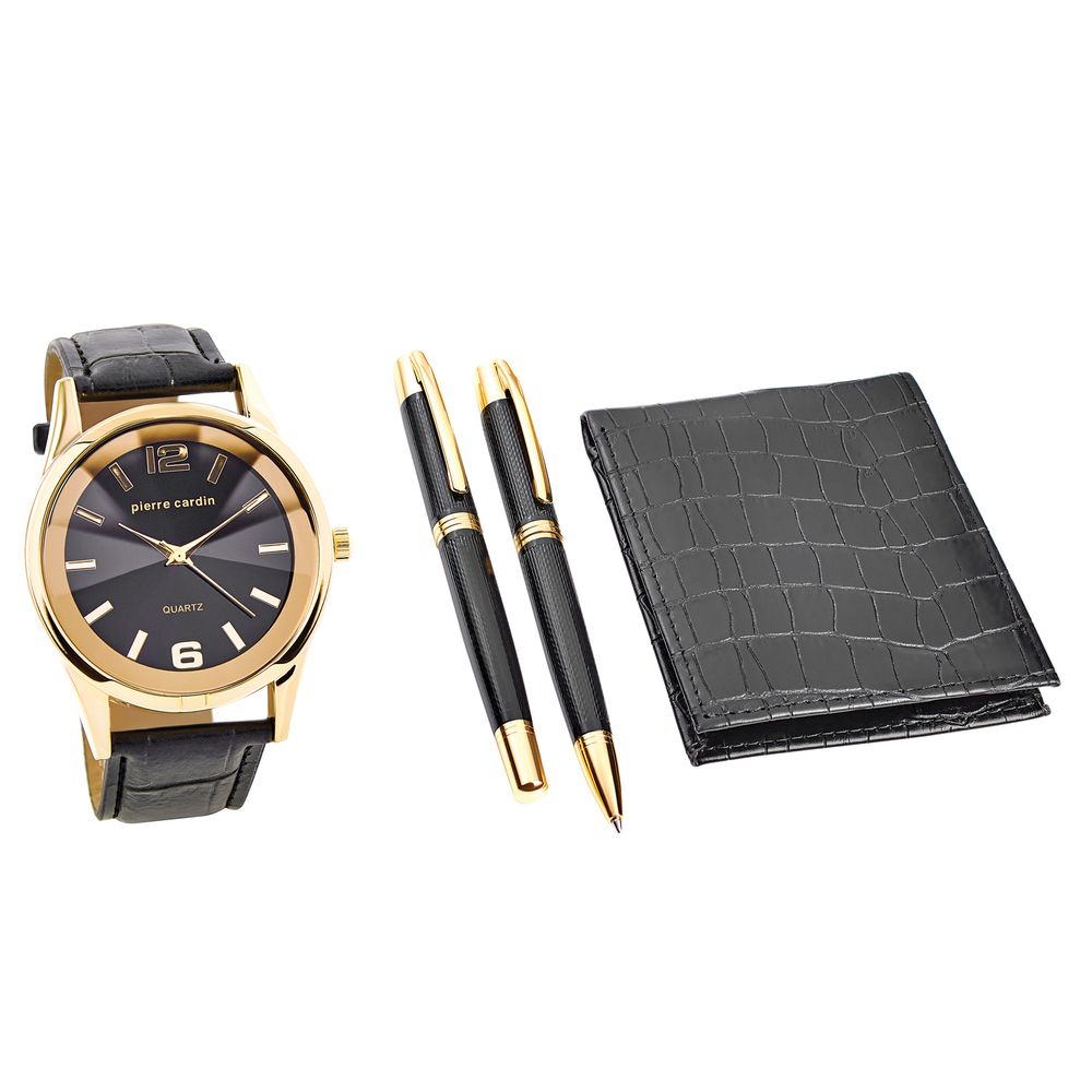 Pierre Cardin Gold Men Watch Pierre Cardin