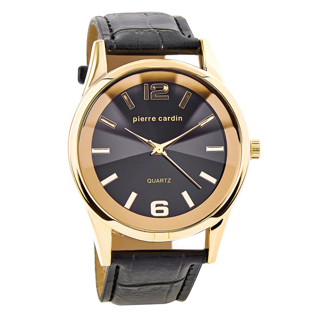 Pierre Cardin Gold Men Watch Pierre Cardin