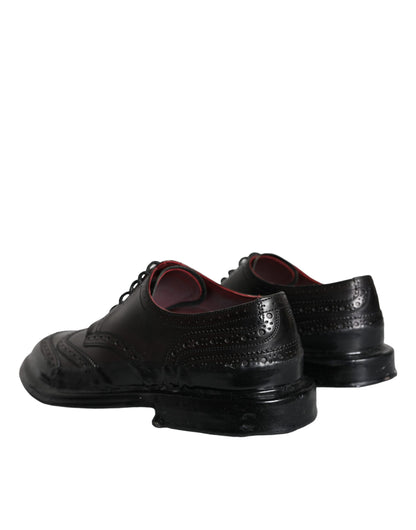 Dolce & Gabbana Black Leather Oxford Wingtip Formal Men Shoes Dolce & Gabbana