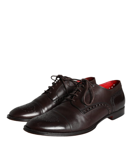 Dolce & Gabbana Brown Calfskin Leather Lace Up Oxford Shoes Dolce & Gabbana