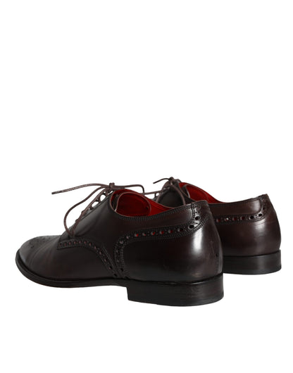 Dolce & Gabbana Brown Calfskin Leather Lace Up Oxford Shoes Dolce & Gabbana