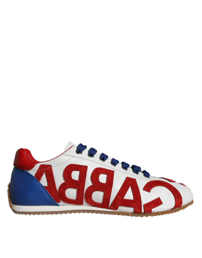 Dolce & Gabbana Multicolor Leather Logo Casual Sneakers Shoes Dolce & Gabbana