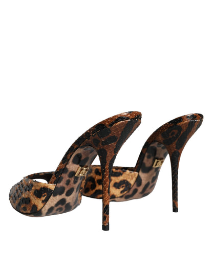 Dolce & Gabbana Brown Leopard Leather Slides Heels Sandals Shoes Dolce & Gabbana