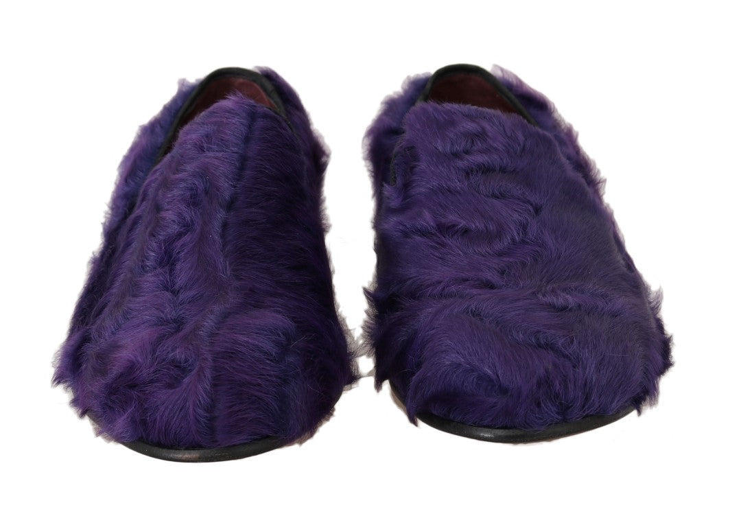 Dolce & Gabbana Plush Purple Sheep Fur Loafers Dolce & Gabbana