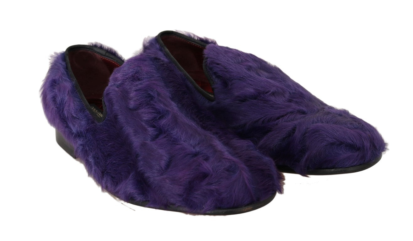 Dolce & Gabbana Plush Purple Sheep Fur Loafers Dolce & Gabbana