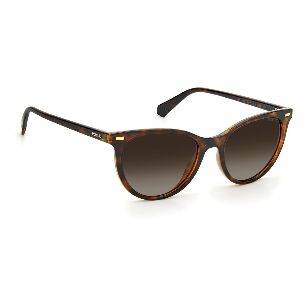 Polaroid Brown Resin Sunglasses