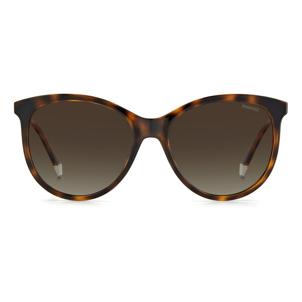 Polaroid Brown Resin Sunglasses