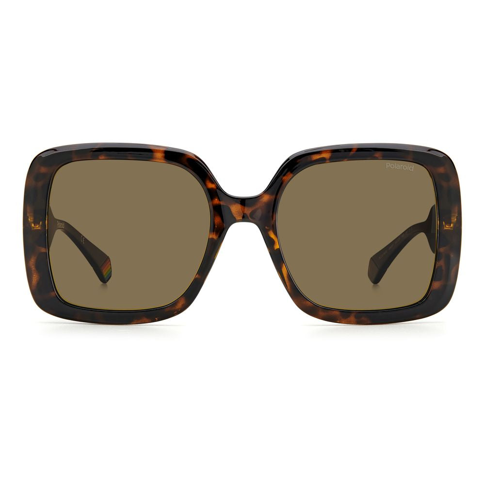 Polaroid Brown Resin Sunglasses